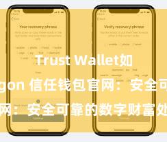 Trust Wallet如何连接Polygon 信任钱包官网：安全可靠的数字财富处治平台